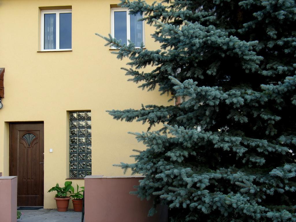 Apartamenty Stajni Jazon Malbork Exterior photo