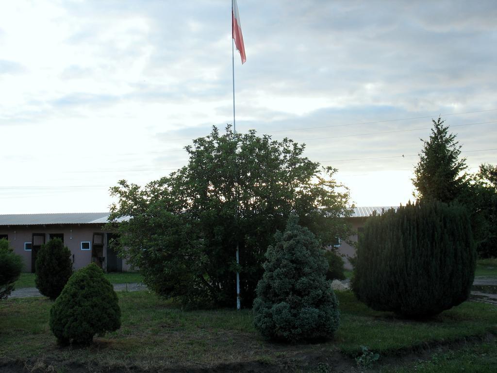 Apartamenty Stajni Jazon Malbork Exterior photo